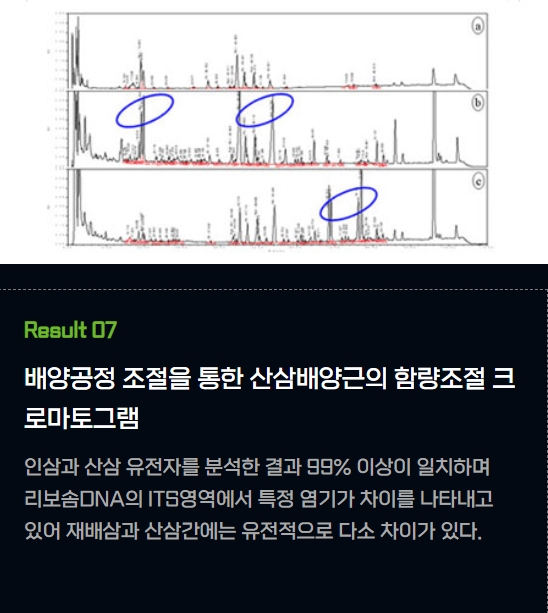 연구자료 02