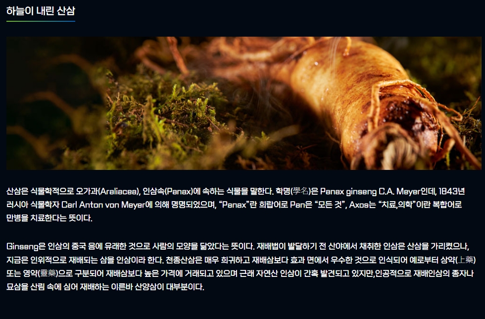 감귤대체작물 산삼배양근이란